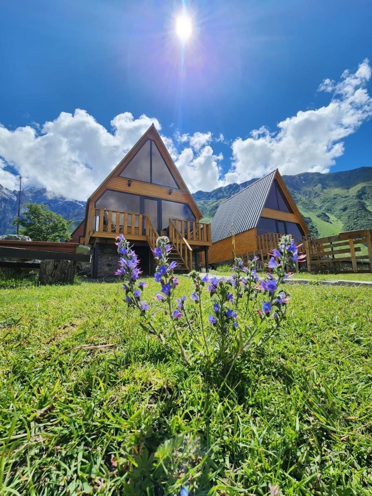 Cottage Carpe Diem Kazbegi Luaran gambar